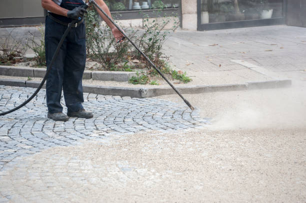 Best Gutter Cleaning  in Paris, TX